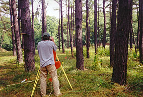 Surveying the area